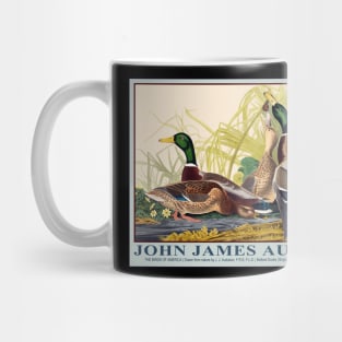 Mallard Ducks by John J. Audubon Mug